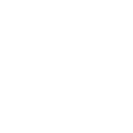 FIORAVANTI
